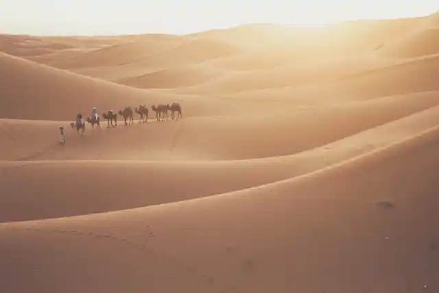 camel-riding-group.webp