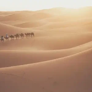 camel-riding-group.webp
